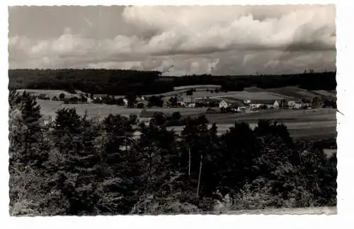 [Ansichtskarte] 5561 HEIDWEILER / Wittlich, Blick auf den Ort. 