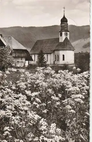 [Ansichtskarte] 7821 BERNAU / Schwarzwald, Pfarrkirche und Umgebung, 1961. 