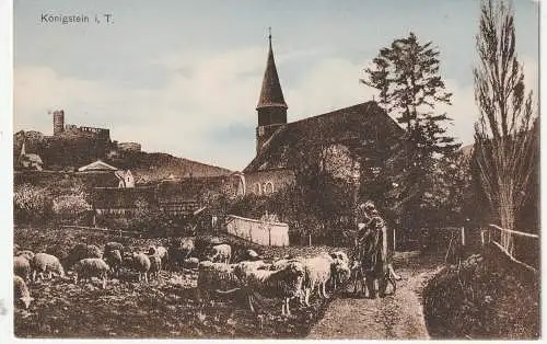 [Ansichtskarte] 6240 KÖNIGSTEIN, Schafherde vor der Kirche, Verlag Aumüller. 