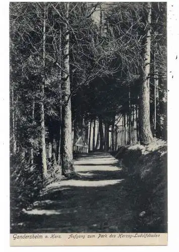 [Ansichtskarte] 3353 BAD GANDERSHEIM, Aufgang zum Park des Herzog - Ludolfbades. 