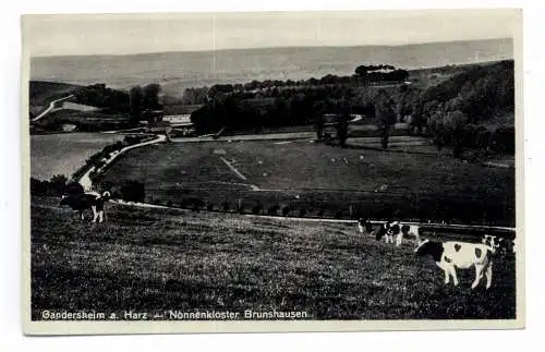 [Ansichtskarte] 3353 BAD GANDERSHEIM - BRUNSHAUSEN, Nonnenkloster. 