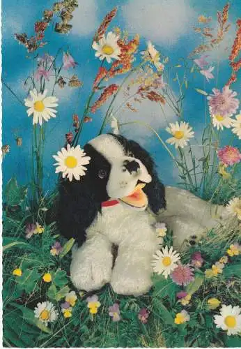 SPIELZEUG / TOYS, STEIFF - Cocker