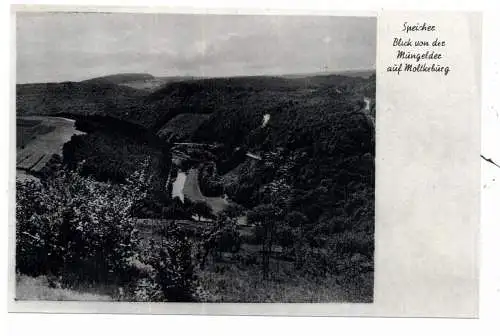 [Ansichtskarte] 5522 SPEICHER, Blick von der Mungelder auf Moltkeburg. 