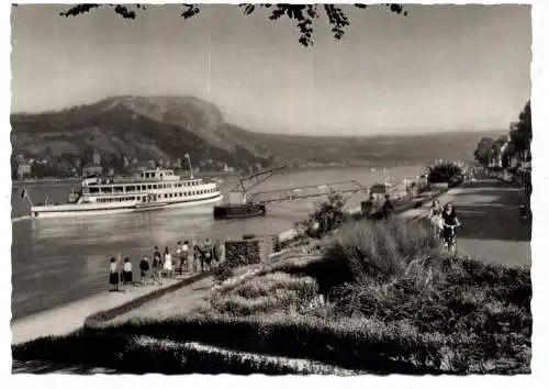 [Ansichtskarte] 5470 ANDERNACH, Rheinufer, Blick auf die Erpeler Ley, Rheindampfer. 