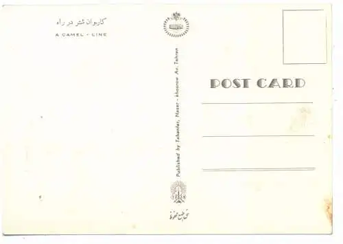 [Ansichtskarte] IRAN / PERSIEN - CAMEL LINE. 