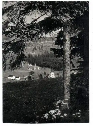 [Ansichtskarte] BÖHMEN & MÄHREN - NEUHAMMER / NOVE HAMRY, Blick auf den Ort, Nachkriegskarte. 