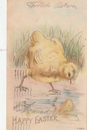 [Ansichtskarte] OSTERN / EASTER - Küken sieht sein Spiegelbild im Wasser, Präge-Karte / embossed / relief, 1907. 