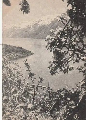 [Ansichtskarte] NORGE / NORWEGEN 5750 ULLENSVANG, Hardanger. 