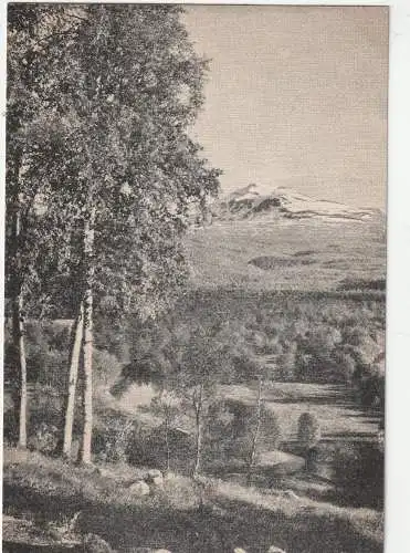 [Ansichtskarte] NORGE / NORWEGEN 9309 MALSELV, Malselvdalen. 