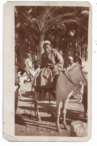 [Ansichtskarte] ÄGYPTEN / EGYPT - Photo-AK, Einheimischer auf Esel, Britische Militärpost innerhalb Ägyptens, Zensur. 