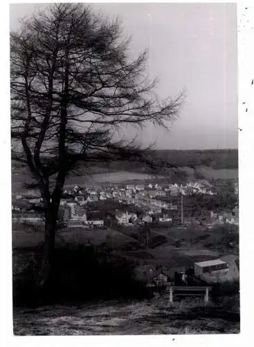[Ansichtskarte] 3353 BAD GANDERSHEIM, Blick vom Lahberg, 1962, Photo 13,3 x 9 cm. 