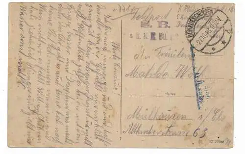 [Ansichtskarte] 7719 DONAUESCHINGEN, Schwanenteich im Schloßpark, späte Feldpost 27.10.1918. 