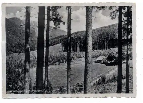 [Ansichtskarte] 8220 TRAUNSTEIN, Mairalm, 1943. 