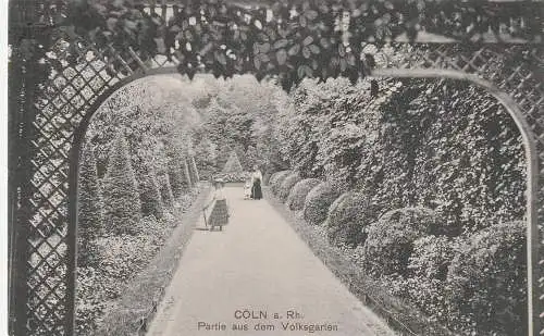 [Ansichtskarte] 5000 KÖLN, Volksgarten, idyllische Ansicht, 1909, Heiss & Co. 