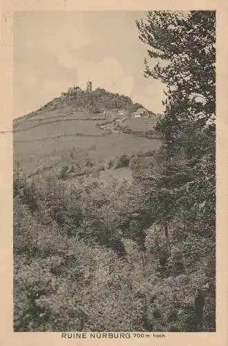 [Ansichtskarte] 5488 ADENAU - NÜRBURG, Blick auf die Ruine, ca. 1910. 