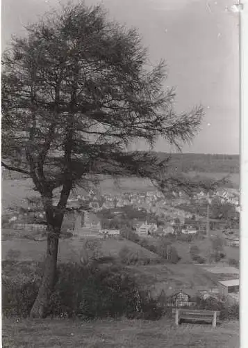 [Ansichtskarte] 3353 BAD GANDERSHEIM, Blick vom Lahberg, 1962, Photo 13,3 x 9 cm. 