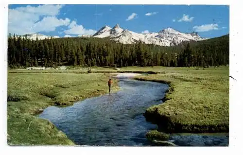 [Ansichtskarte] USA - CALIFORNIA, Yosemite National Park, Tuolumne Meadows, Ed. Teich. 