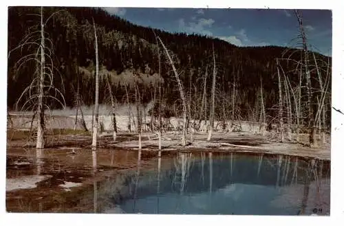 [Ansichtskarte] USA - WYOMING, Yellowstone National Park, Hot Pool, Curt Teich. 