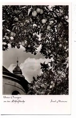 [Ansichtskarte] 7750 KONSTANZ - INSEL MAINAU, Unter Orangen an der Schloßkirche. 