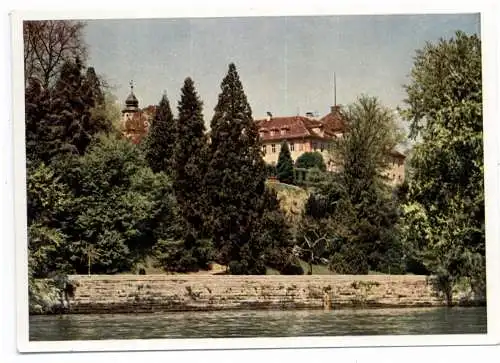 [Ansichtskarte] 7750 KONSTANZ INSEL MAINAU, Schloß und Kirche. 
