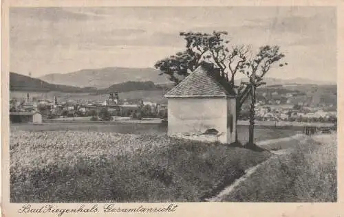 [Ansichtskarte] OBER - SCHLESIEN, ZIEGENHALS / GLUCHOLAZY, Blick von der Kapelle. 