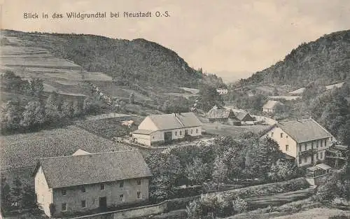 [Ansichtskarte] OBER - SCHLESIEN, NEUSTADT - PRUDNIK, Gehöfte im Wildgrundtal, Verlag Heinisch. 