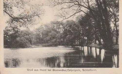 [Ansichtskarte] 0-1931 HEILIGENGRABE - BLUMENTHAL - HORST, Rittergut, Schloßteich, 1927. 