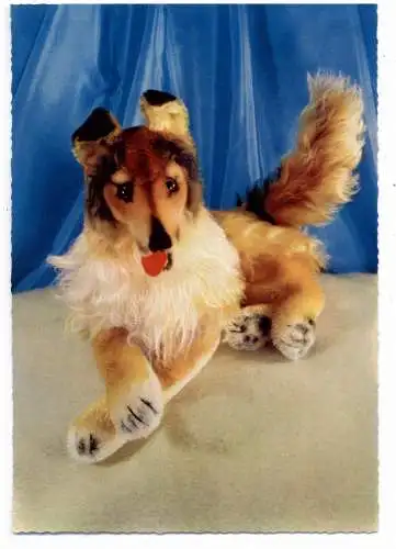 [Ansichtskarte] SPIELZEUG / TOYS - STEIFF - COLLIE. 