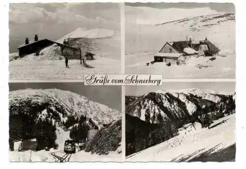 [Ansichtskarte] A 2734 PUCHBERG am Schneeberg, Grüße vom Schneeberg, Zahnradbahn. 