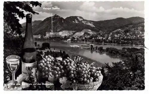 [Ansichtskarte] 5340 BAD HONNEF, Weingut Domley, Blick über den Rhein. 