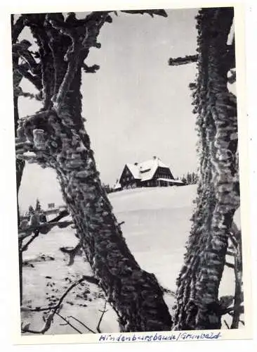 [Ansichtskarte] NIEDER - SCHLESIEN, BAD REINERZ - GRUNWALD / DUSZNIKI ZDROJ - ZIELENIEC, Hindenburgbaude, Nachhkriegskarte. 