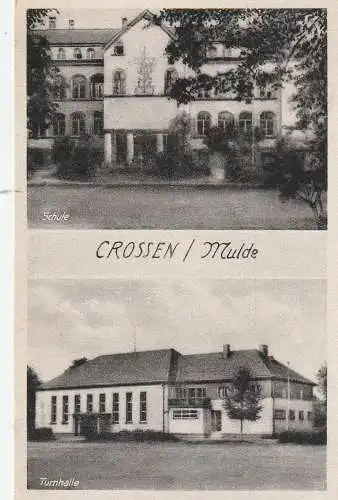 [Ansichtskarte] 0-9506 CROSSEN / Mulde, Schule & Turnhalle. 
