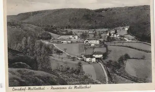 [Ansichtskarte] L 6200 CONSDORF - MÜLLERTHAL, Panorama. 