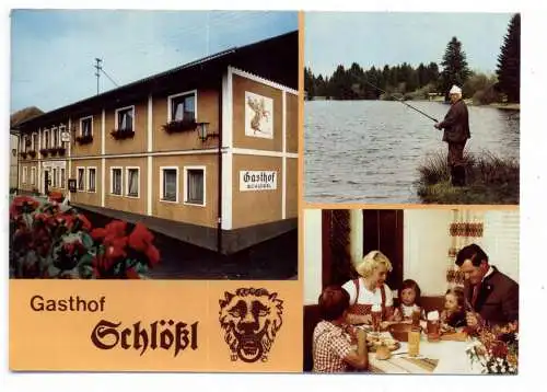 [Ansichtskarte] A 3664 MARTINSBERG, Gasthof Schlößl. 