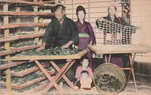 [Ansichtskarte] JAPAN / NIPPON - Seidenraupenzucht / Silk Worm feeding. 