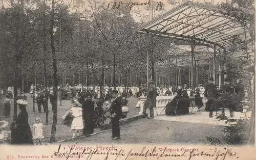 [Ansichtskarte] 0-8000 DRESDEN - WEISSER HIRSCH, Waldpark Concert, 1903. 