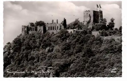 [Ansichtskarte] 5168 NIDEGGEN, Burgruine. 