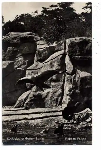 1000 BERLIN - TIERGARTEN, Zoo, Robben Felsen, 1934