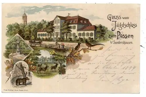[Ansichtskarte] 0-5400 SONDERSHAUSEN, Lithographie Jagdschloss zum Possen 1899. 