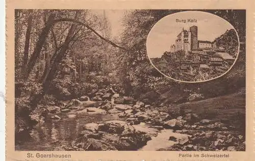[Ansichtskarte] 5422 ST. GOARSHAUSEN, Schweizertal, Burg Maus, Bahnpost Köln - Frankfurt, 1929. 