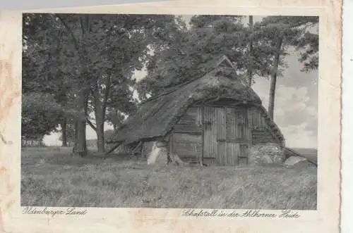 2907 GROSSENKNETEN - AHLHORN, Schafstall in der Ahlhorner Heide, 1939