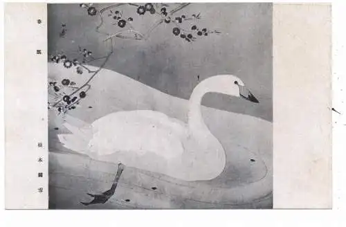 [Ansichtskarte] KÜNSTLER / ARTIST - HASHIMOTO KANSETSU, Schwan. 