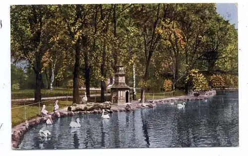 [Ansichtskarte] 5000 KÖLN, KÖLNER ZOO, Kleiner Weiher, Pelikane, Schwäne, 1926. 