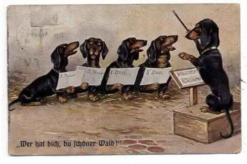 [Ansichtskarte] HUNDE - DACKEL / Teckel / Dachshund / Bassotto, Dackelchor, 1910. 