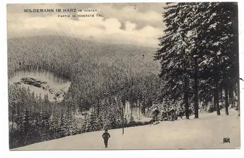 3392 CLAUSTHAL - ZELLERFELD - WILDEMANN, Partie im Innerste Tal, 1909