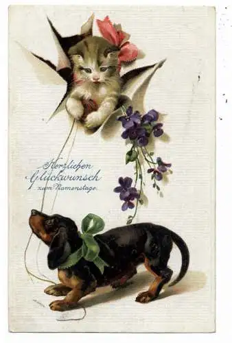 [Ansichtskarte] HUNDE - DACKEL / Teckel / Dachshund / Bassotto, Dackel und Katze, Präge-Karte, embossed, relief, 1918. 