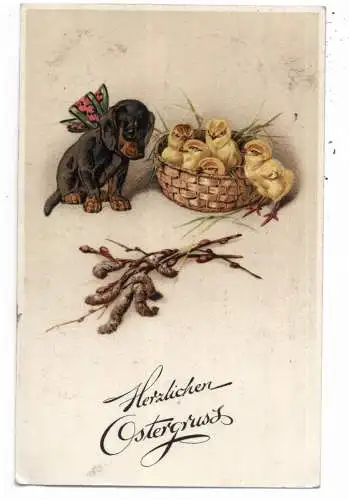 [Ansichtskarte] HUNDE - DACKEL / Teckel / Dachshund / Bassotto, Dackelwelpe und Küken, 1928. 