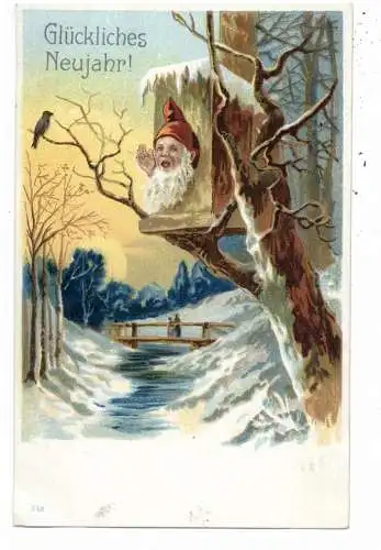 [Ansichtskarte] ZWERGE / GNOME / DWARFS / NANI, Rufender Zwerg im Vogelkasten, Lithographie, ca. 1900. 