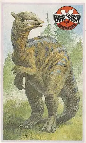 PRÄHISTORISCHE TIERE - SAUROLOPHUS, Sammelkarte