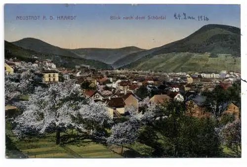 [Ansichtskarte] 6730 NEUSTADT an der Haardt, Blick nach dem Schöntal, 1915, Bahnpost Ludwigshafen - Neunkirchen. 